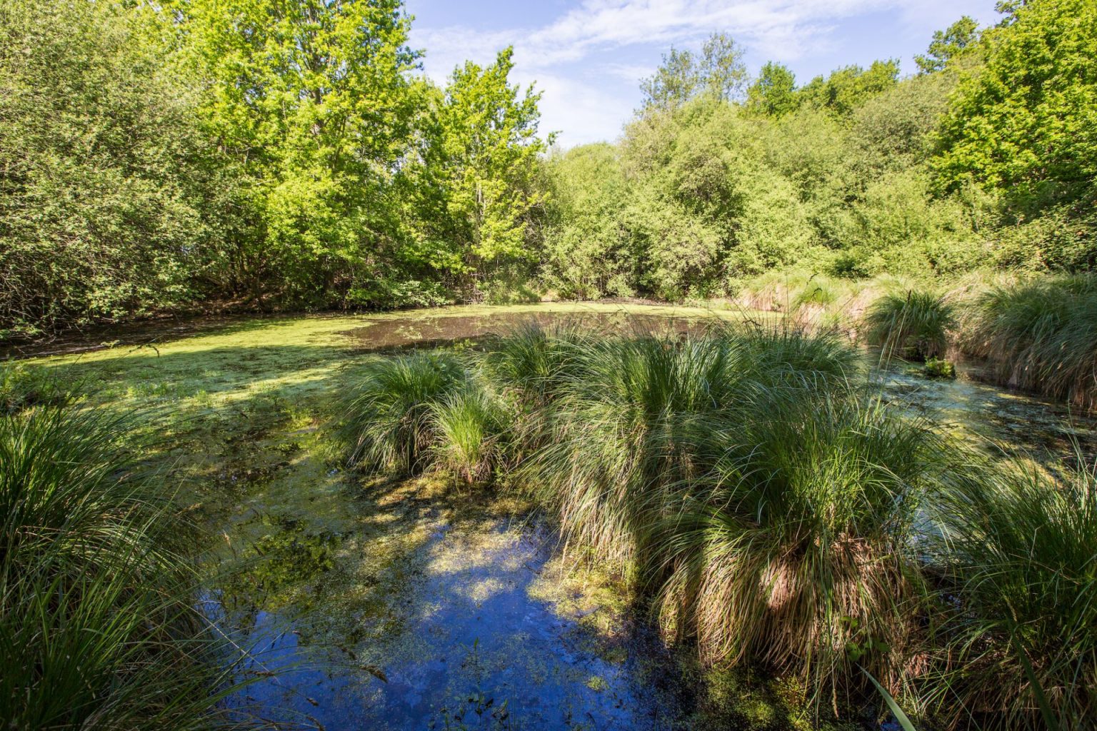 Pourquoi un PRAM ? PRAM Normandie